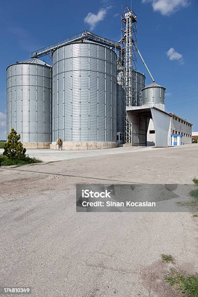 Silo Einrichtung Mit Blauem Himmel Stockfoto und mehr Bilder von Agrarbetrieb - Agrarbetrieb, Architektur, Baugewerbe