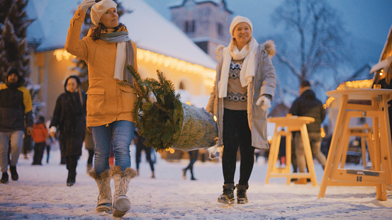 Two happy women friends shopping and carrying christmas tree at snowy market of Kranjska Gora town during blue hour