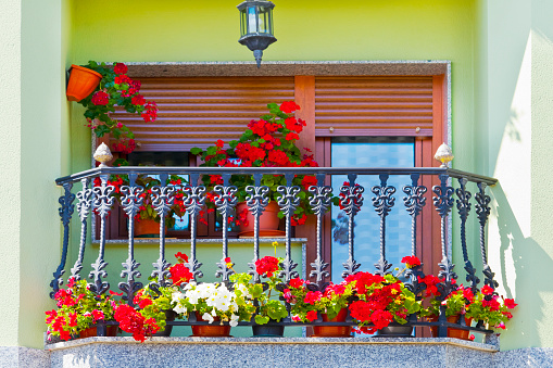 Cast iron balcony with multi colored  geranium flower pots. Galicia, Spain.