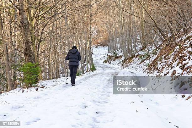 Winter Gehen Stockfoto und mehr Bilder von Abgeschiedenheit - Abgeschiedenheit, Aktiver Lebensstil, Baum