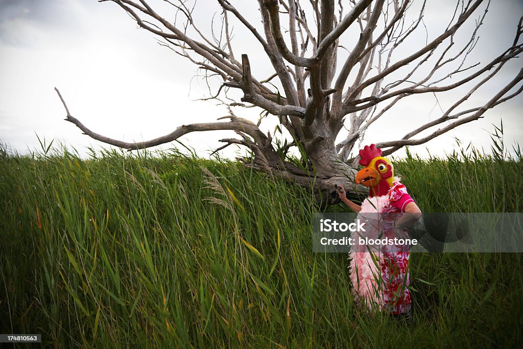 Bush Chicken Person with Chicken mask in the tall grass Adult Stock Photo