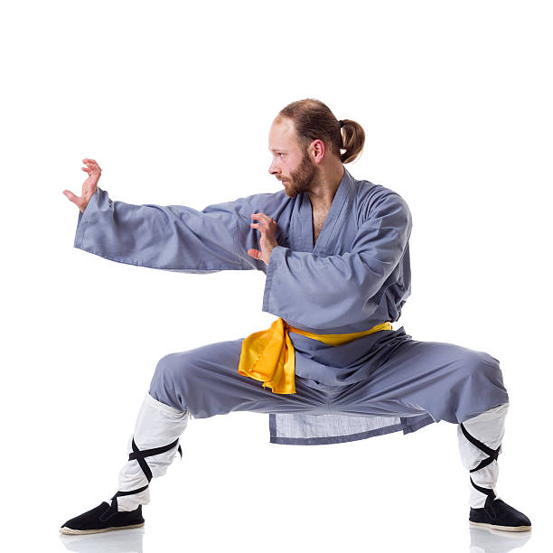 kung fu pozycji walki na białym tle - wushu concentration conflict skill zdjęcia i obrazy z banku zdjęć