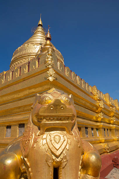 león de oro del shwezigon pagoda en bagan, myanmar. - burmese culture myanmar gold lion fotografías e imágenes de stock