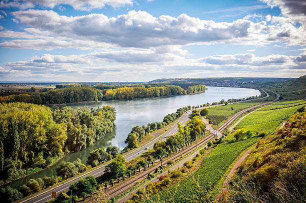 Summer evening at the Rhine Sunny evening at the Rhine near Nierstein and Oppenheim nierstein stock pictures, royalty-free photos & images