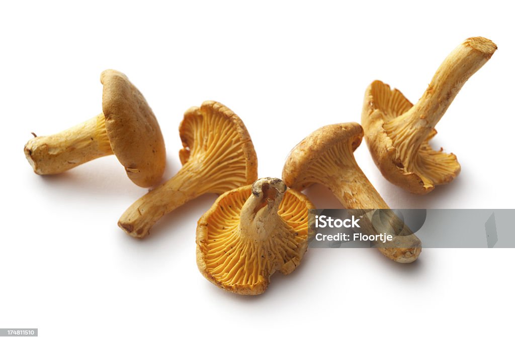 Cogumelos: Cogumelo Chanterelle - Royalty-free Cogumelo Chanterelle Foto de stock