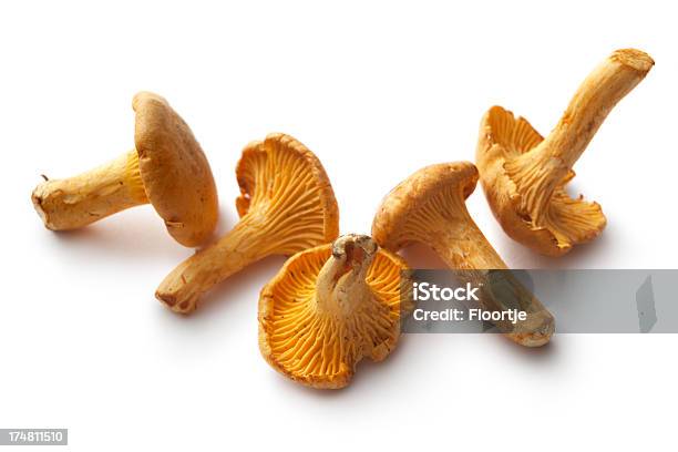 Cogumelos Cogumelo Chanterelle - Fotografias de stock e mais imagens de Cogumelo Chanterelle - Cogumelo Chanterelle, Figura para recortar, Amarelo