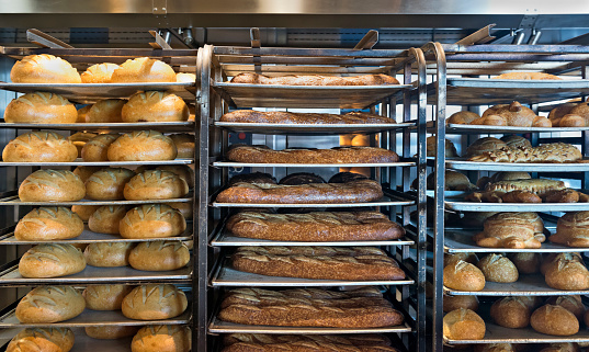 Freshly made french bread cooling on rows of racks in a bakery.