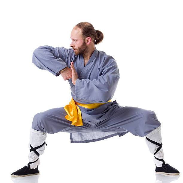 kung fu pozycji walki na białym tle - wushu concentration conflict skill zdjęcia i obrazy z banku zdjęć