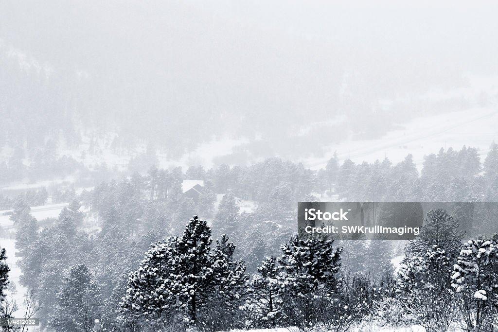 Inverno na Pike National Forest - Foto de stock de Azul royalty-free