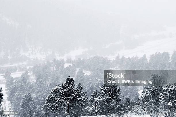 Foto de Inverno Na Pike National Forest e mais fotos de stock de Azul - Azul, Beleza natural - Natureza, Bosque - Floresta