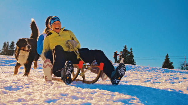 Two cheerful young women in warm clothing riding down a sled at snowy hill with Bernese Mountain pet Dog