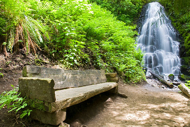 쁠라스 of 묵음을 - outdoor chair garden path waterfall falling water 뉴스 사진 이미지