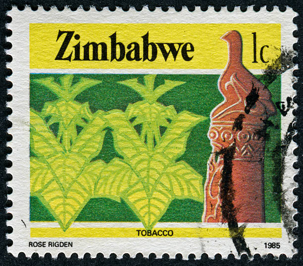 istock Zimbabwe Tobacco Stamp 174812128