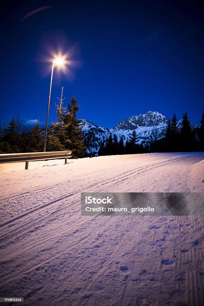 Snowy street de nuit - Photo de Arbre libre de droits