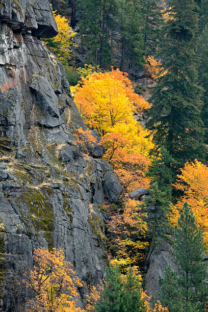 jesień kolor tumwater canyon - vertical photography color image tumwater canyon zdjęcia i obrazy z banku zdjęć