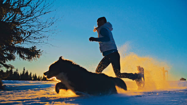 donna racchette da neve con il suo cane da compagnia sulla neve - winter snowshoeing running snowshoe foto e immagini stock