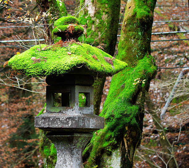 istock traditional japanese stone lantern 174812625