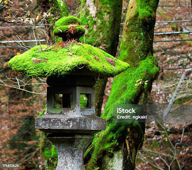 Tradycyjny Japoński Kamień Lampion - zdjęcia stockowe i więcej obrazów Bez ludzi - Bez ludzi, Drzewo, Fotografika