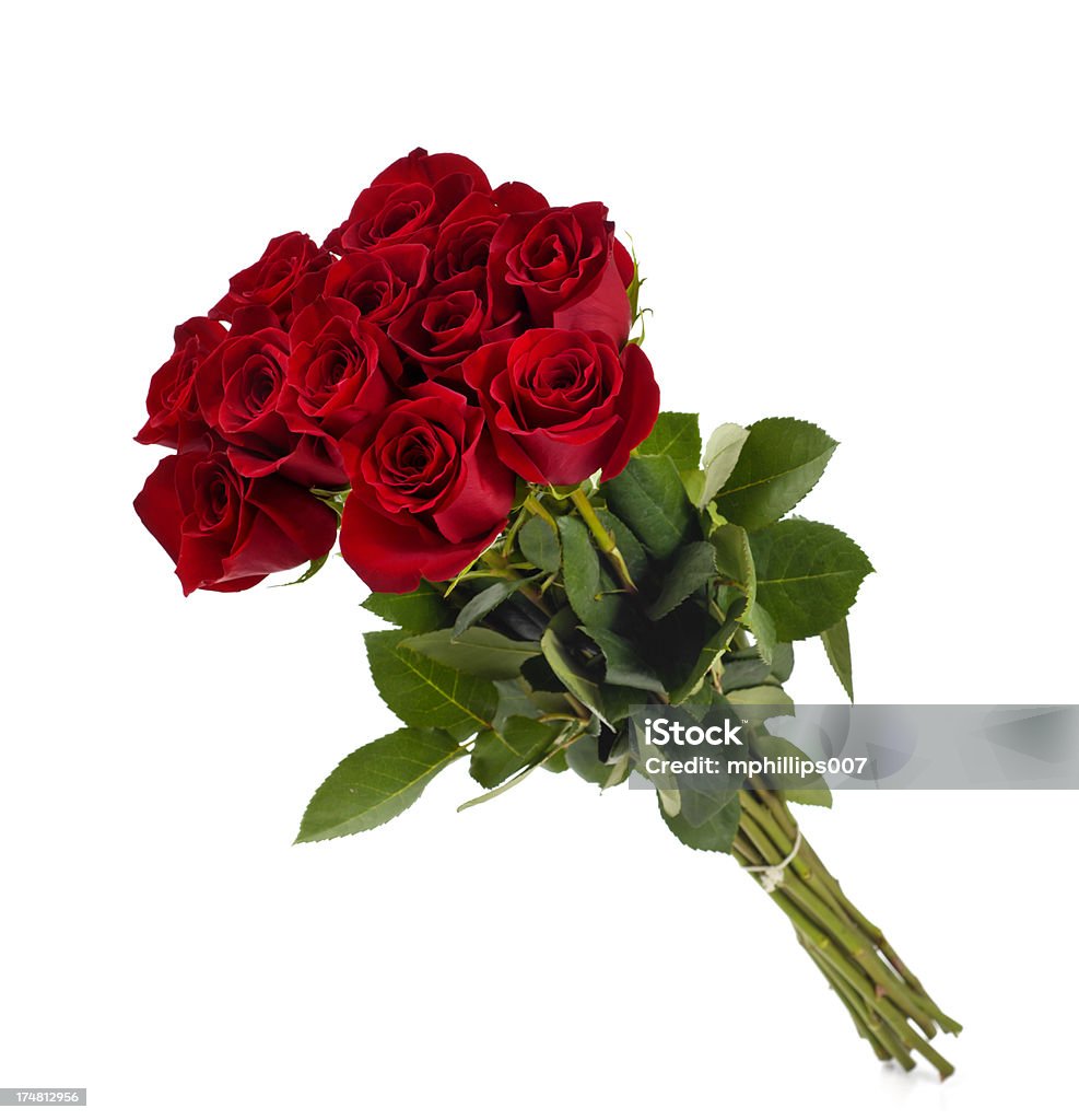 Dozen Roses Stock Photo - Download Image Now - Rose - Flower ...
