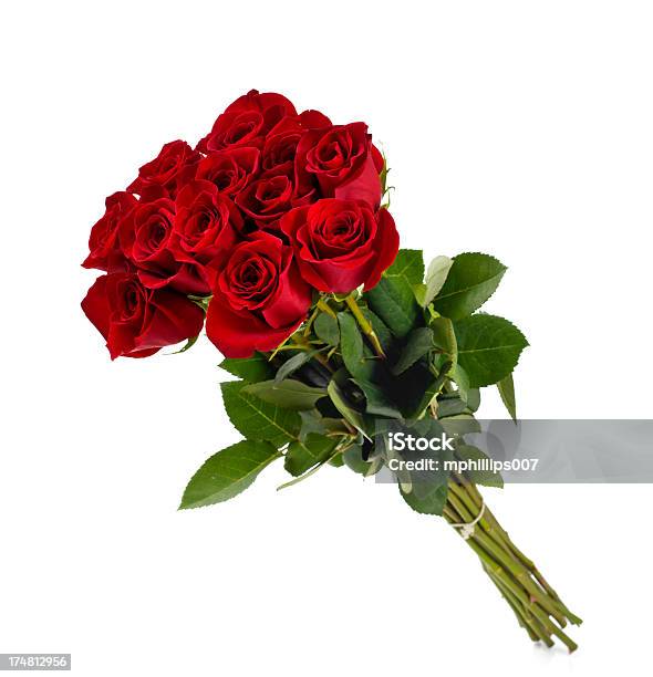 Dozen Roses Stock Photo - Download Image Now - Rose - Flower, Bouquet, Bunch of Flowers