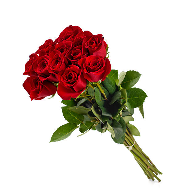 дюжина роз - dozen roses rose flower arrangement red стоковые фото и изображения