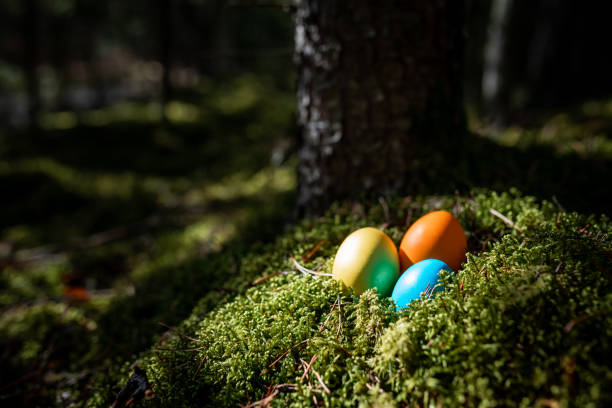 Colorful easter eggs on natural green moss background in forest.