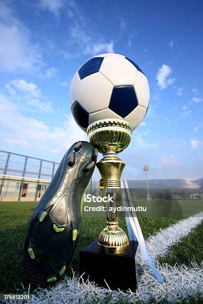 Soccer Field Stockfoto und mehr Bilder von Anreiz - Anreiz, Aufnahme von unten, Auszeichnung