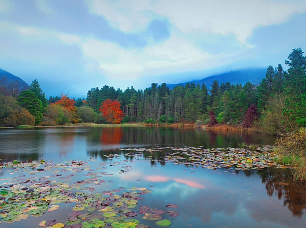 istock small lake in Ireland at dusk 174813733