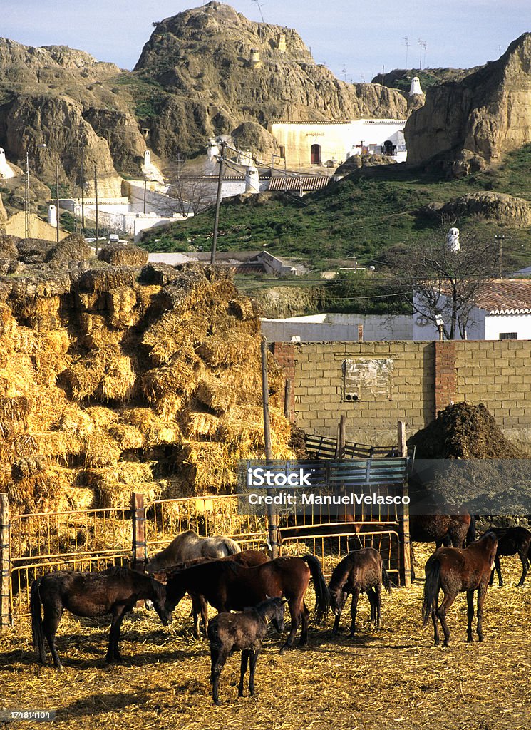 Guadix (Гуадих - Стоковые фото Альпухарры роялти-фри