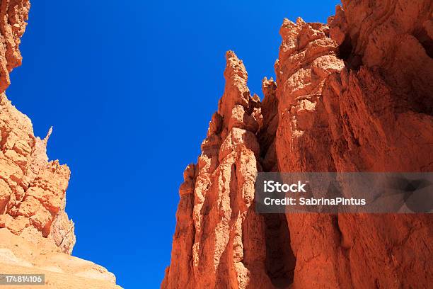 Foto de Rochas Vermelhas No Parque Nacional De Bryce Canyon Utah Eua e mais fotos de stock de Azul