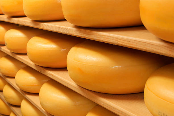 istock cheeses on the shelves at a dairy farm 174814659