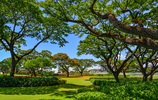 Gardens and green trees at the Manila American Cemetery & Memorial in Taguig Metro Manila, The Philippines.