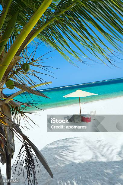 Tranquill Карибский Тропический Остров Пляж С Кокосовой Пальмы — стоковые фотографии и другие картинки Багамские острова