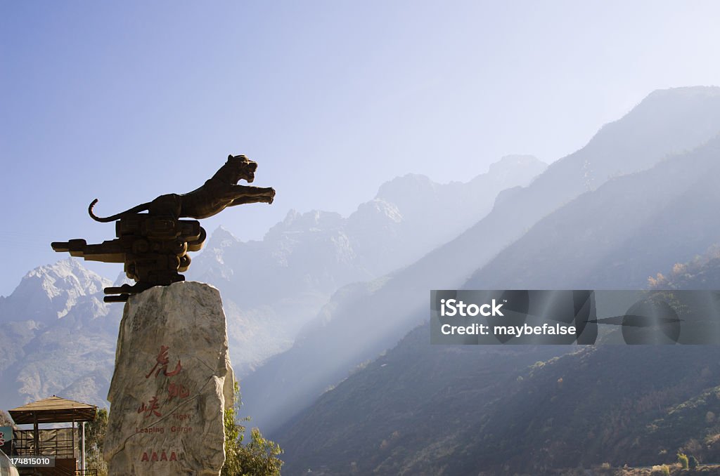 gorge du saut du tigre - Photo de Tigre libre de droits