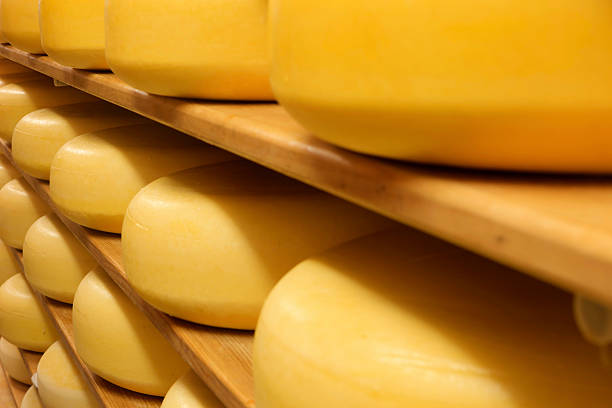 istock cheeses on the shelves at a dairy farm 174815339
