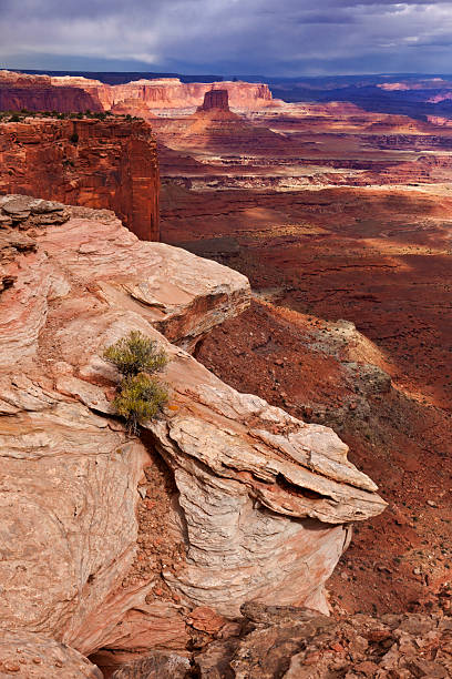 istock Buck Canyon, Canyonlands National Park 174815380