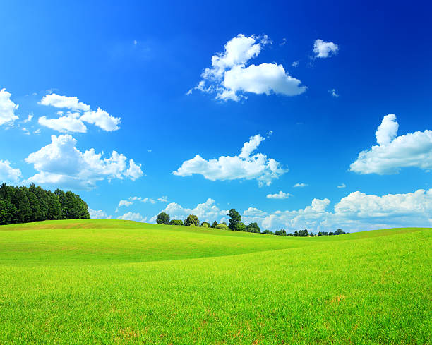istock Rolling Grassy Meadow - Green and Blue Spring Landscape 174815390