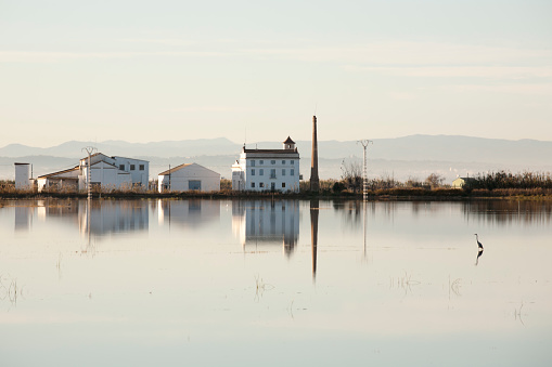 The Albufera Natural Park