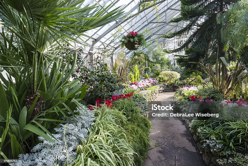 Plantas penduradas na área da estufa - Foto de stock de Estufa royalty-free