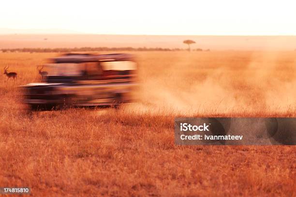 Jeep Guida - Fotografie stock e altre immagini di Africa - Africa, Ambientazione esterna, Animale da safari