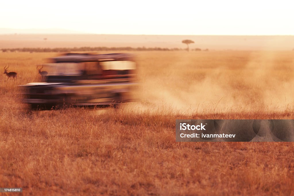 Сафари на джипах Driving - Стоковые фото Африка роялти-фри