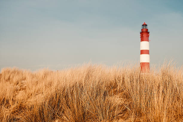 Lighthouse in the dunes Lighthouse out of focus in the dunes amrum stock pictures, royalty-free photos & images