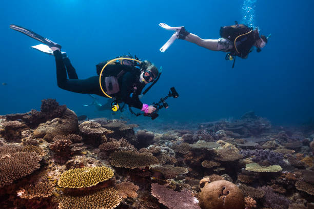 istock Two female scuba divers exploring the tropical coral reef 1748159252