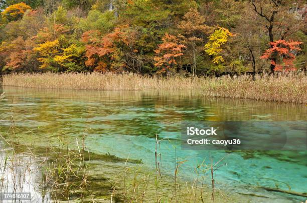 Bellezza Nella Natura - Fotografie stock e altre immagini di Acqua - Acqua, Ambientazione esterna, Asia