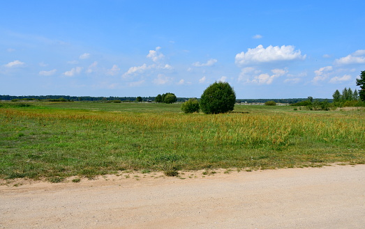 A view of a dirt path, road or walkway leading next to a vast field, pastureland, or meadow full of herbs, grass, shrubs, and trees seen on a cloudy summer day on a Polish countryside