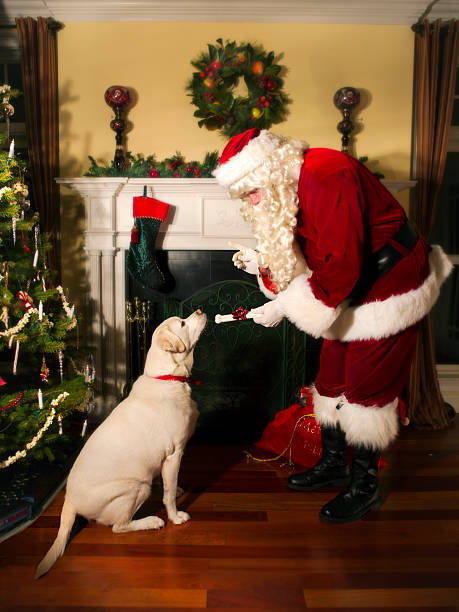 istock Santa giving the family dog a bone 174816414