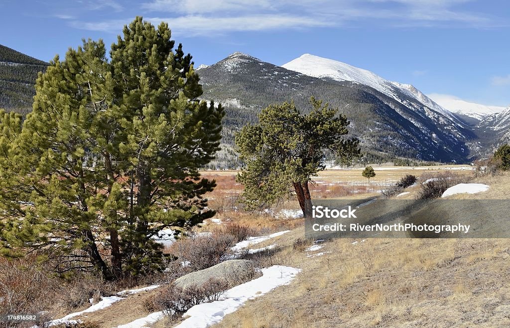 Rocky Mountain National Park im Winter - Lizenzfrei Baum Stock-Foto