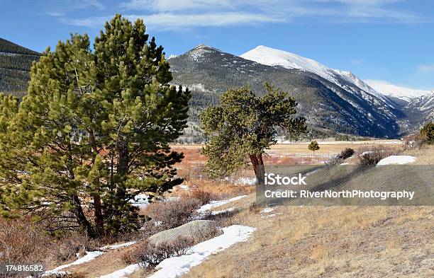 Parco Nazionale Delle Montagne Rocciose In Inverno - Fotografie stock e altre immagini di Albero - Albero, Ambientazione esterna, Ambientazione tranquilla