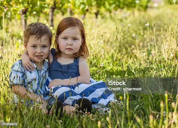 Duas Crianças Pequenas Sentada Ao Lado Em Campo De Verão - Fotografias de stock e mais imagens de Abraçar