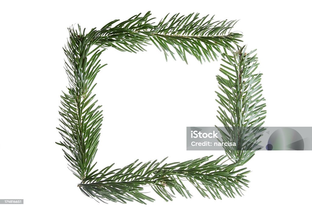 Fir tree branches forming a frame frame made of fresh fir tree branches Border - Frame Stock Photo